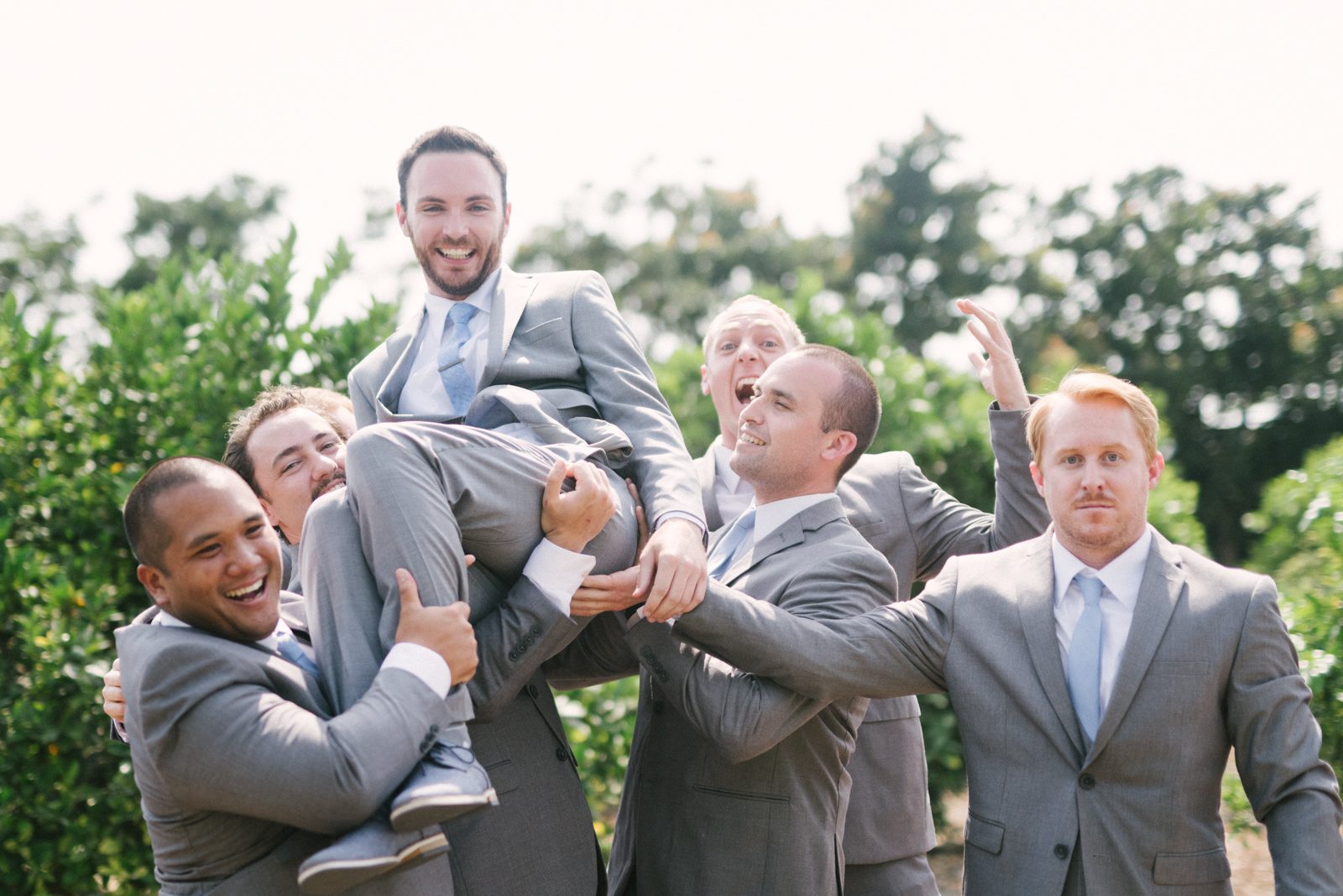 Groom being lifted up at Limoneira Ranch Wedding by San Luis Obispo Wedding Photographer Yvonne Goll Photography