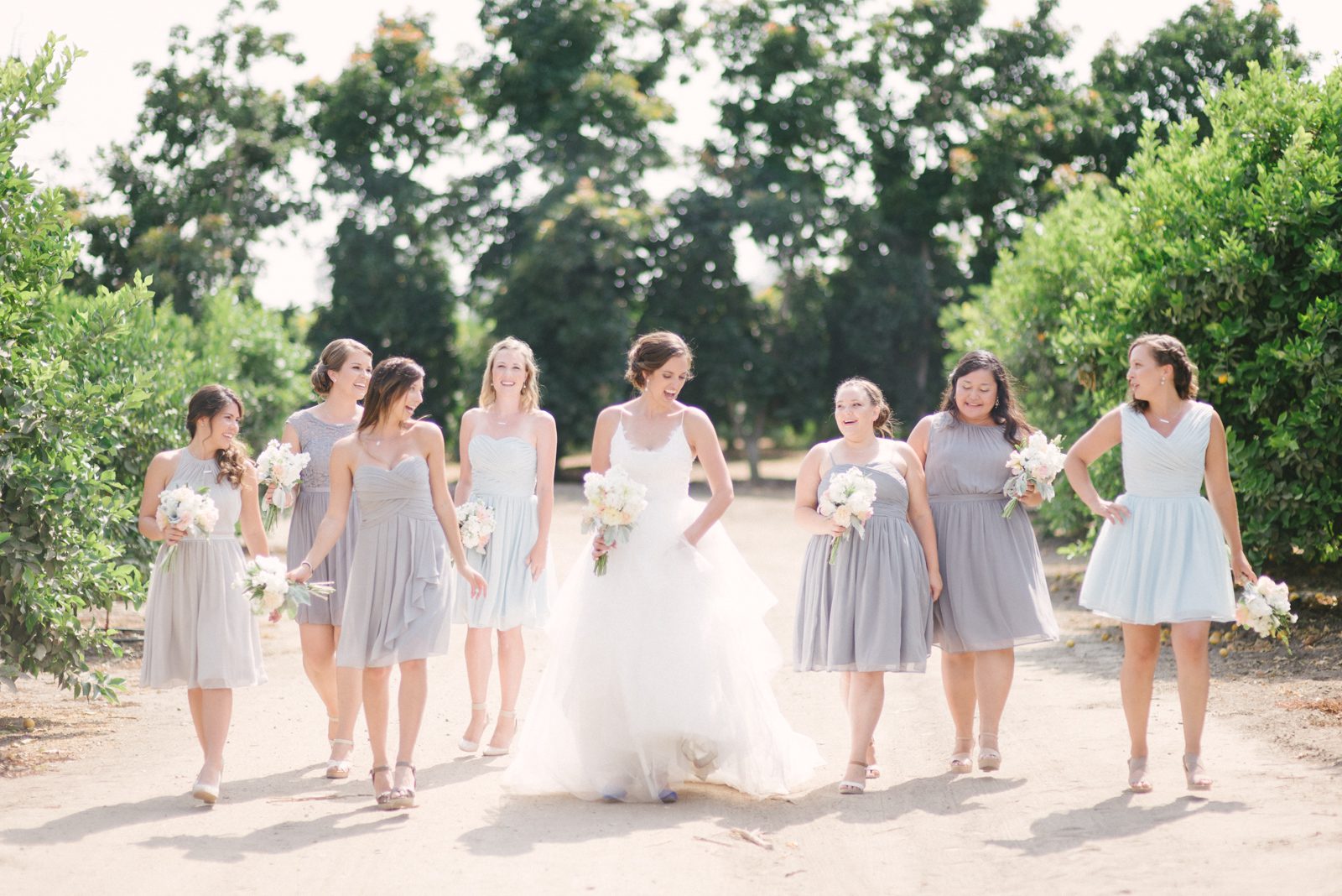 Bride and bridesmaids walking at Limoneira Ranch Wedding by SLO Wedding Photographer Yvonne Goll Photography