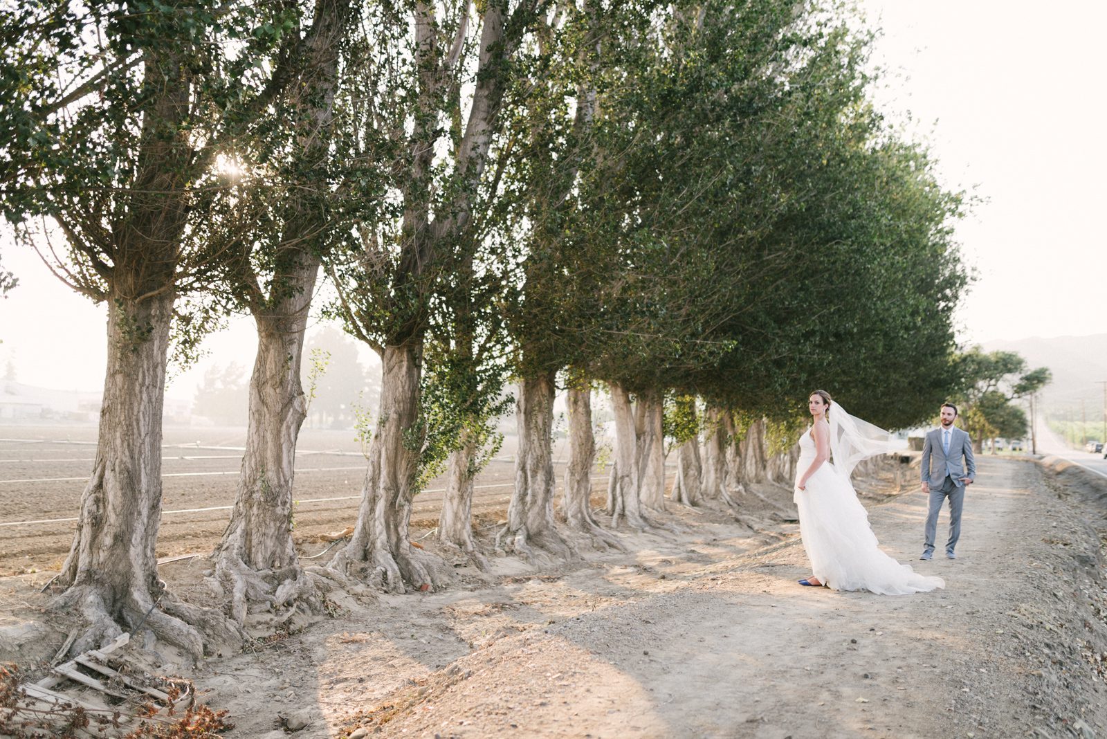 Bride and groom on road at Limoneira Ranch Wedding by SLO Wedding Photographer Yvonne Goll Photography