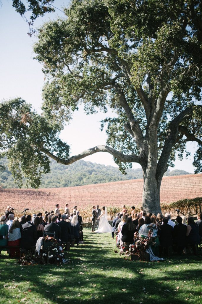 San Luis Obispo Wedding Photographers Yvonne Goll Photography