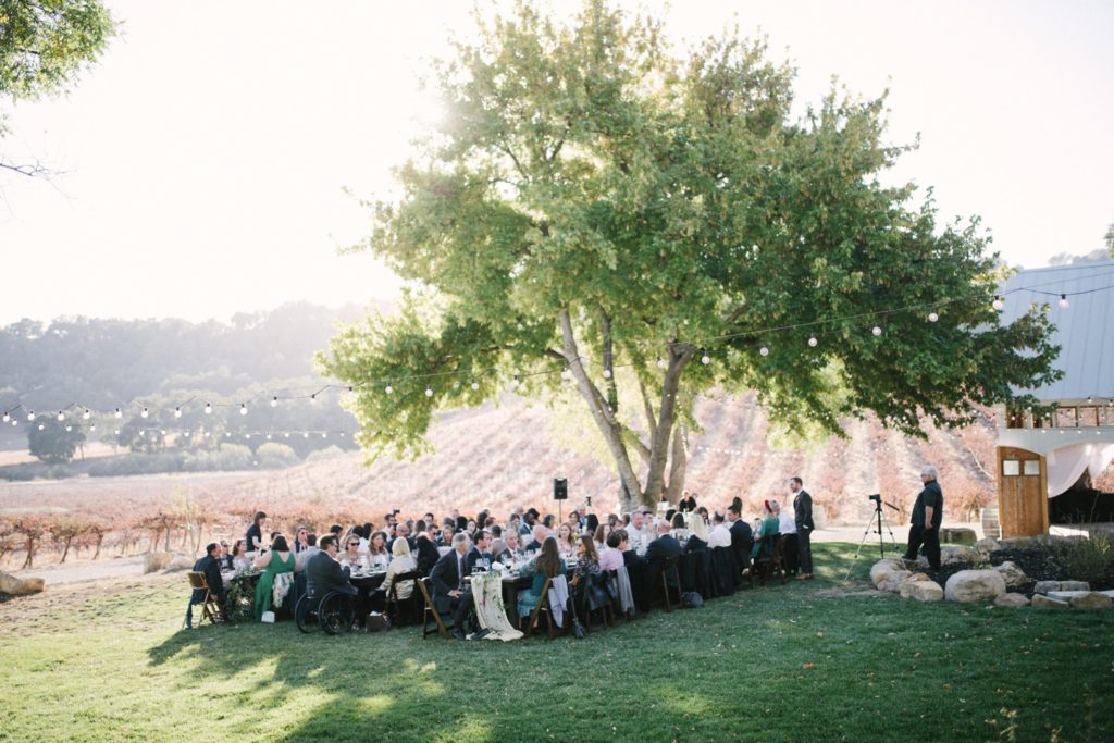 Hammersky vineyard wedding reception under live oak tree