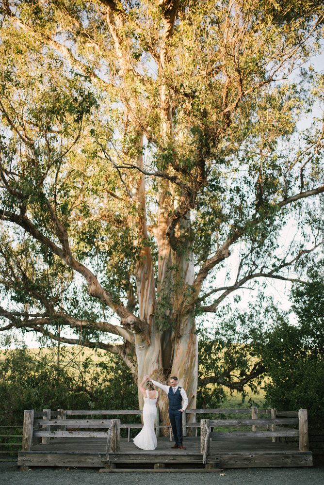 slo wedding photographer