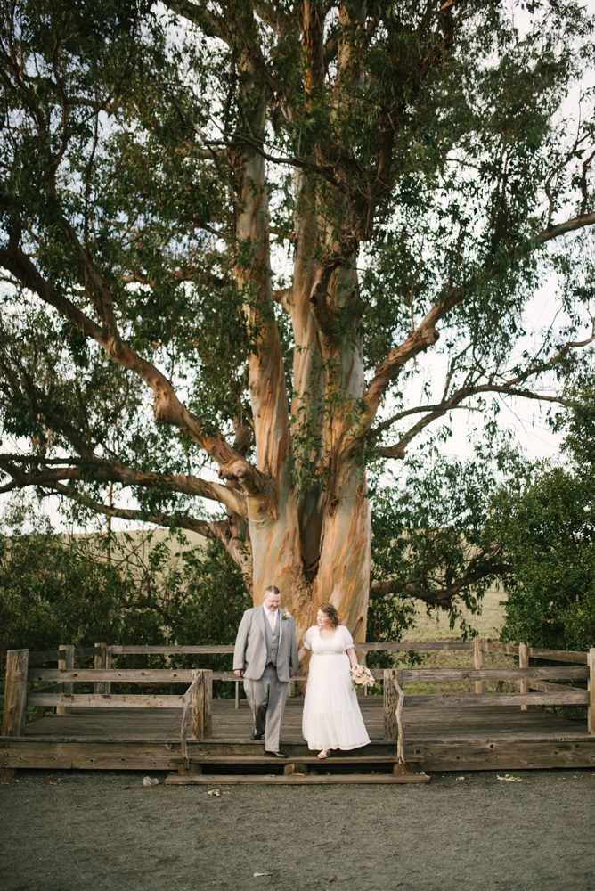 slo wedding photographer