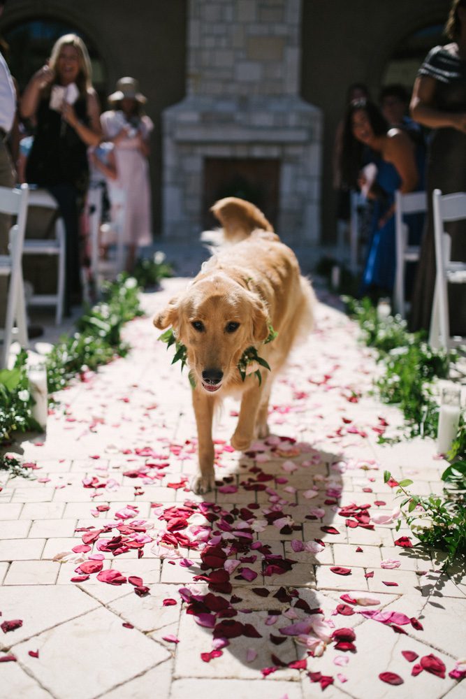 dog at Allegretto wedding ceremony