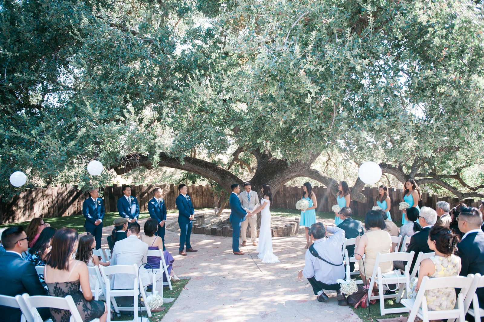 Ceremony under tree at Hartley Farm Wedding by Central Coast Wedding photographer Yvonne Goll Photography