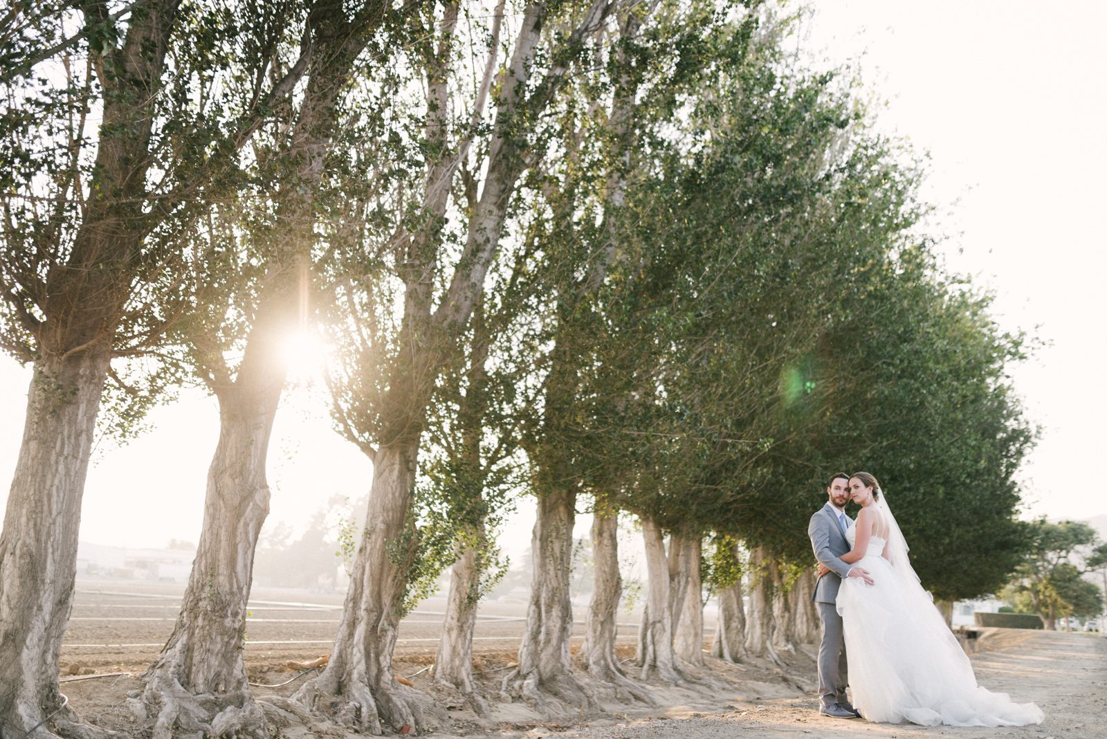 Bride and groom by row of trees at Limoneira Ranch Wedding by Paso Robles Wedding Photographer Yvonne Goll Photography