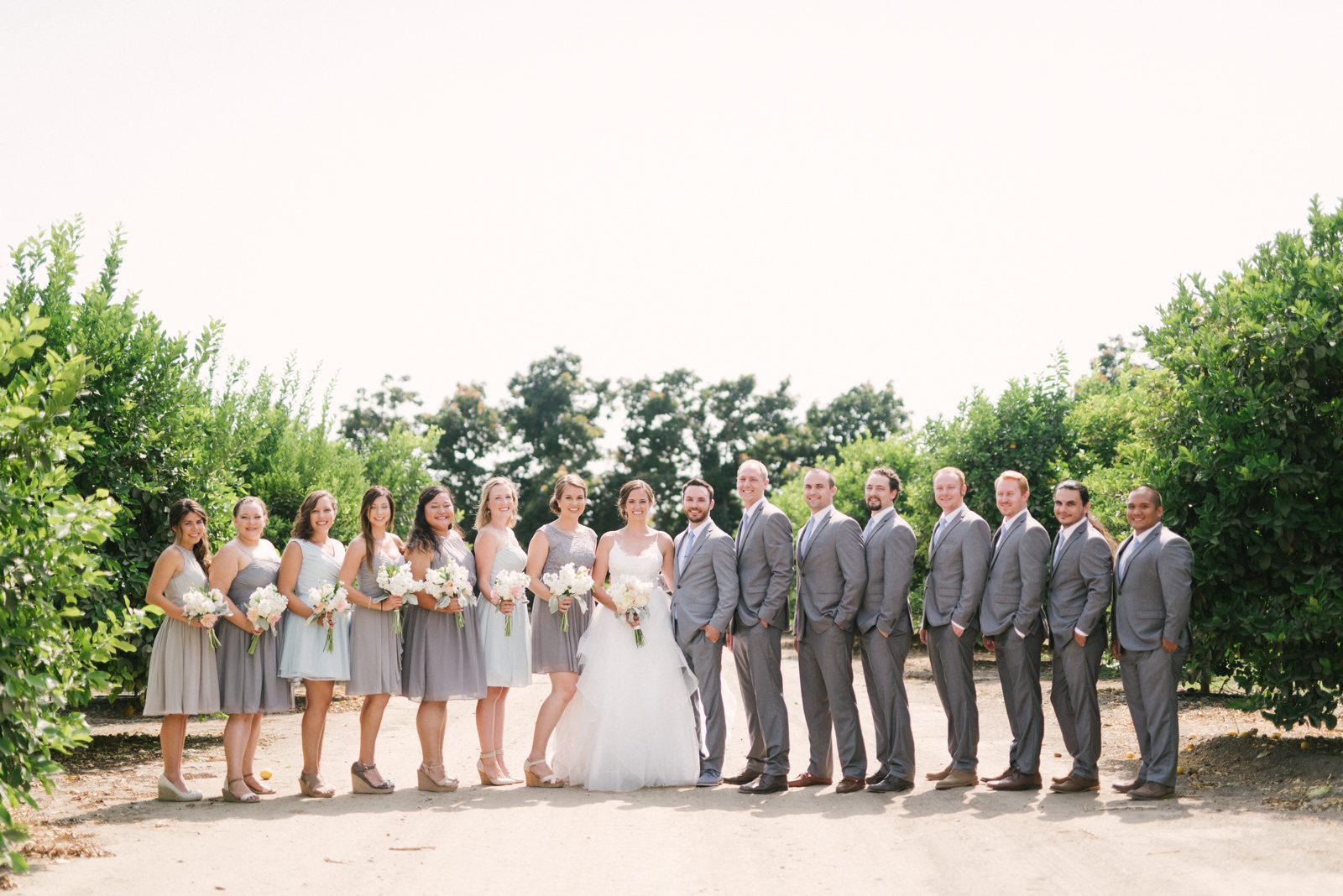 All wedding party at Limoneira Ranch Wedding by San Luis Obispo Wedding Photographer Yvonne Goll Photography