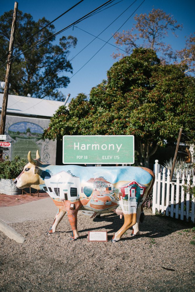 san luis obispo wedding venue harmony chapel